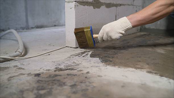 SJ Waterproofing Pros Exterior Waterproofing coverage map for Holly, MI and surrounding area